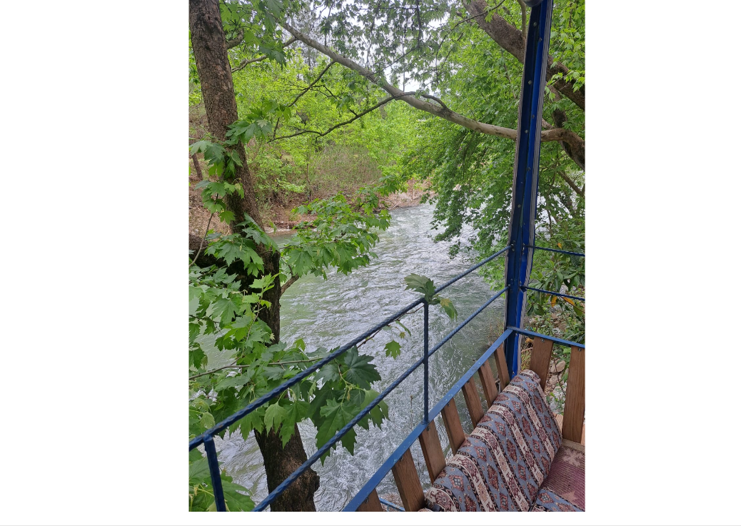 Bahçe Yeşillikleri